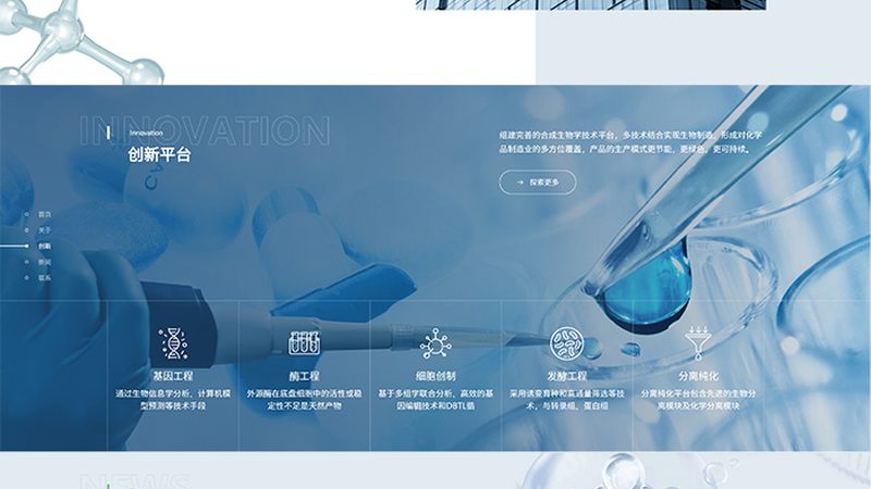 小分子新药CDMO代工厂：揭秘其核心价值与选择要点**