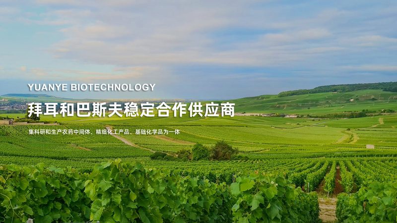 移液器批发价格：揭秘性价比背后的秘密**