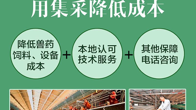 CDMO技术转移流程：揭秘制药产业的关键环节