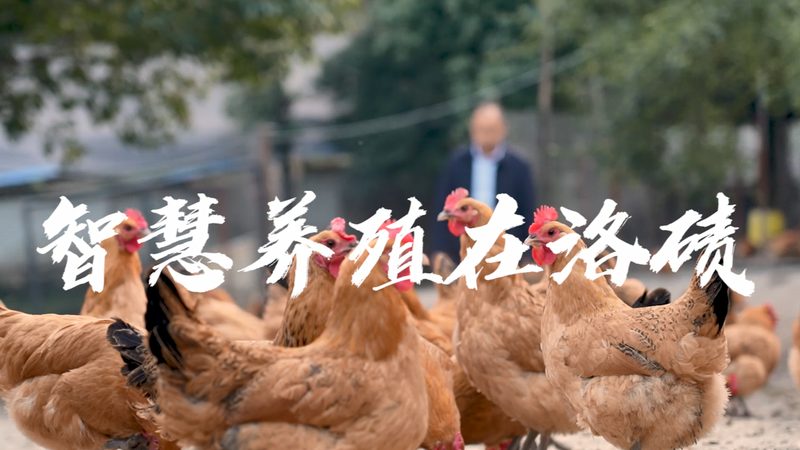 CDMO客户加盟，如何把握关键要素？**