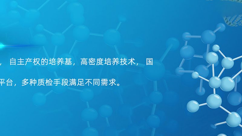 CDMO代理加盟对比