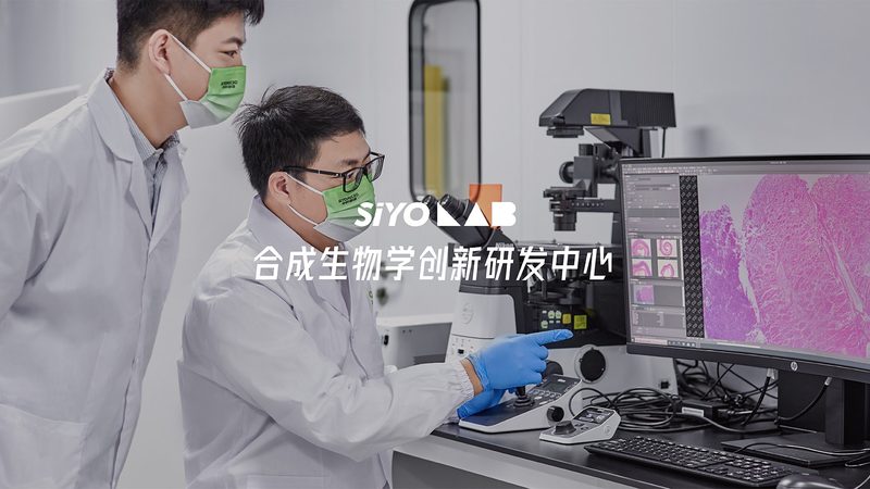 生物制品冷链运输：第三方物流公司的关键作用与选择要点
