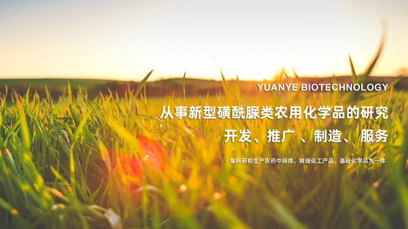 广州生物制品与化学药品厂家：差异与选择要点