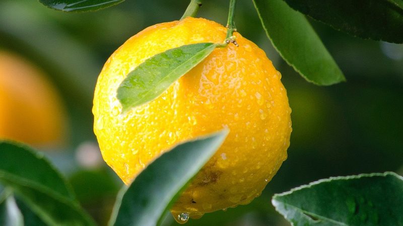 基因治疗生物制品分类揭秘：型号参数全解析