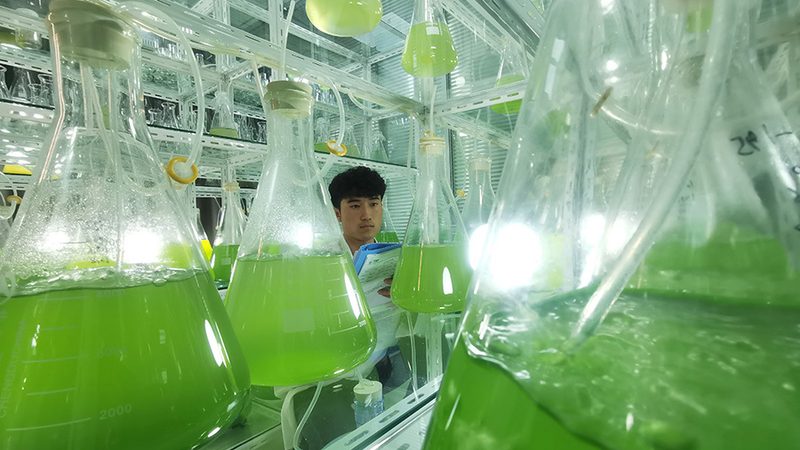 认识误区：价格与品质的等价关系